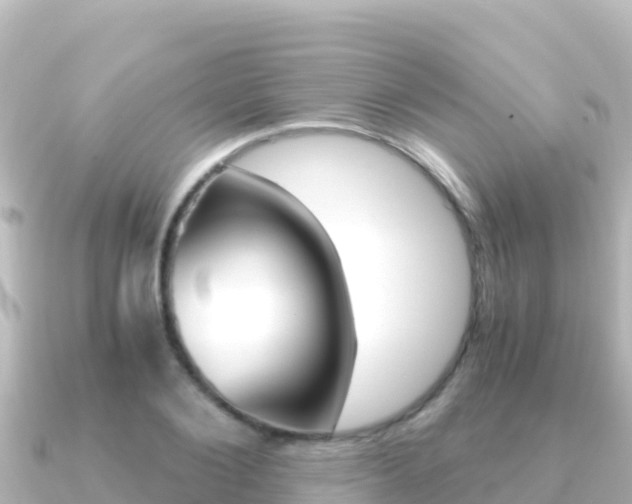 X0000091240884200708091129