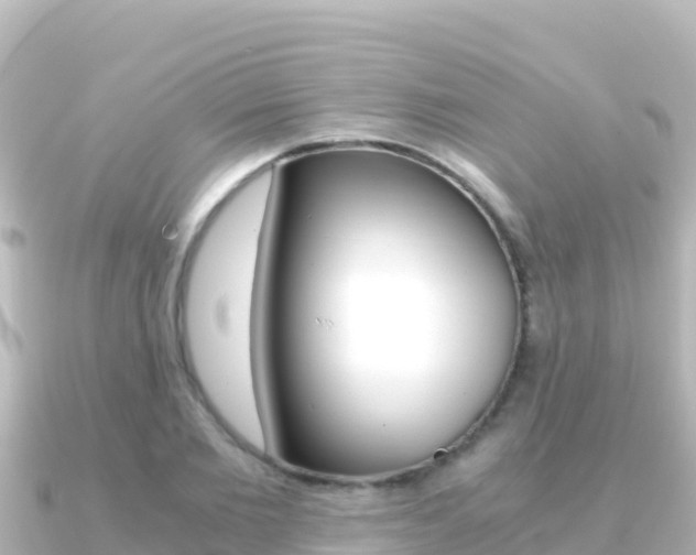 X0000091240885200708091129
