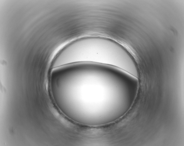 X0000091240888200708091129