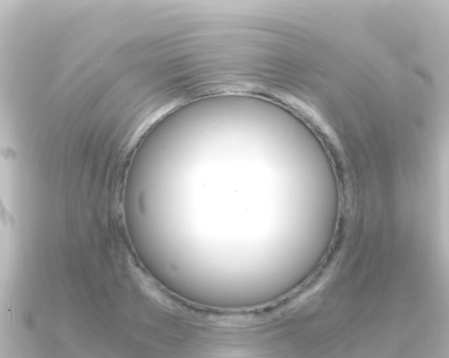 X0000091240889200708091129
