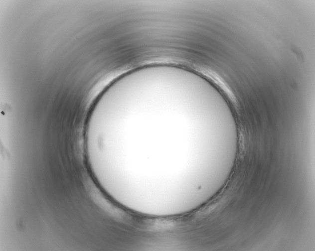 X0000091240890200708091129