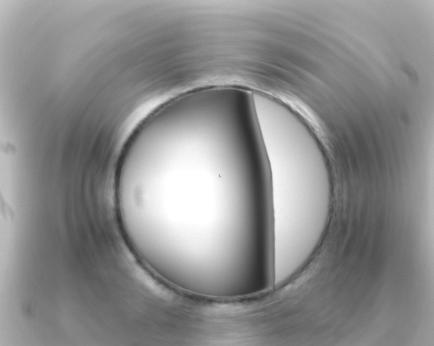 X0000091240894200708091129