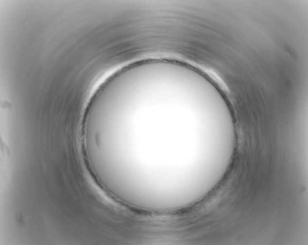 X0000091240895200708091129