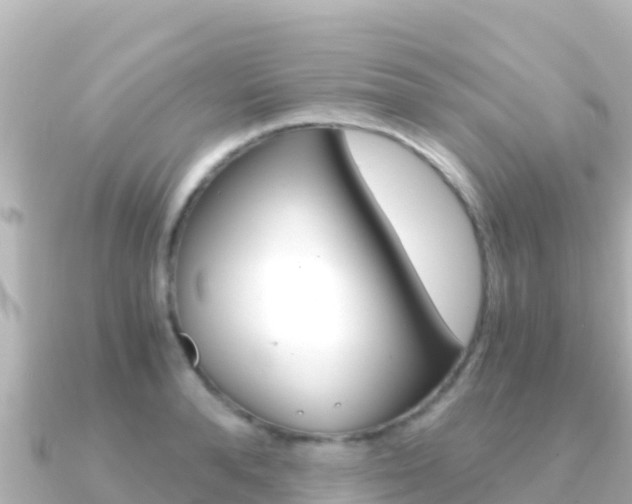 X0000091240896200708091129