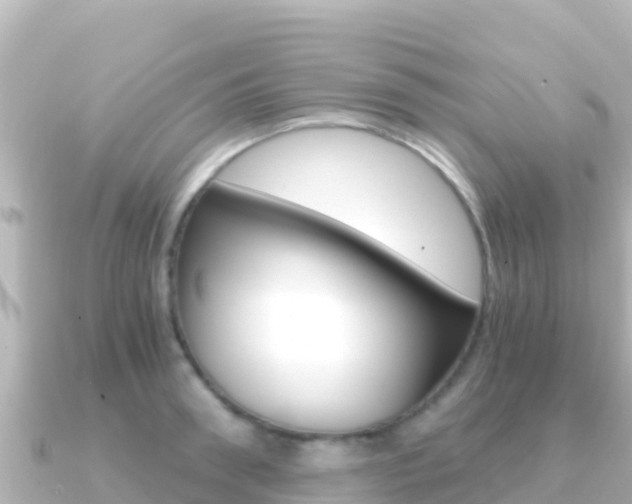 X0000091240898200708091129