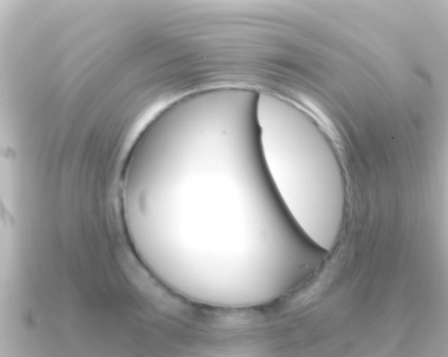 X0000091240899200708091129