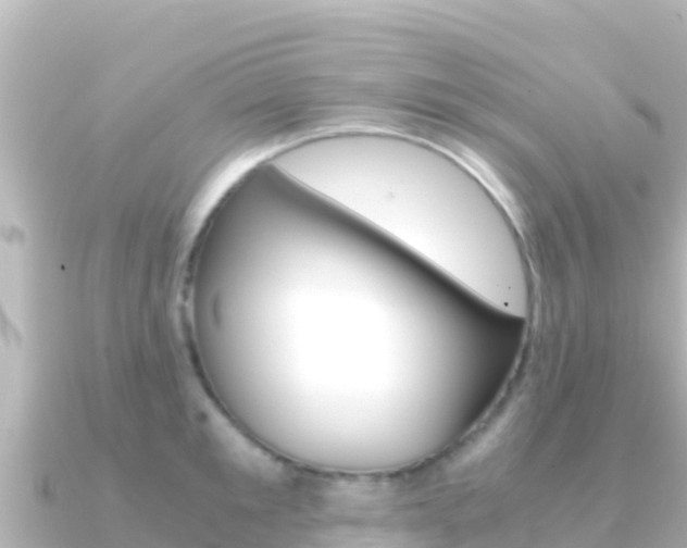 X0000091240901200708091129