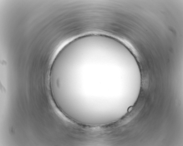 X0000091240903200708091129
