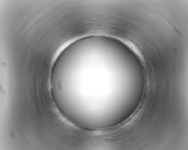 X0000091240904200708091129