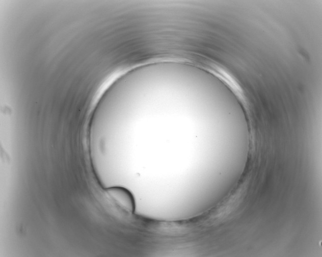 X0000091240907200708091129