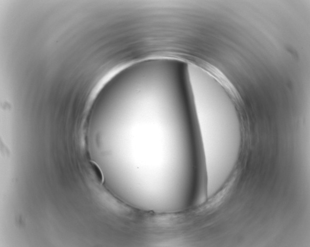 X0000091240908200708091129