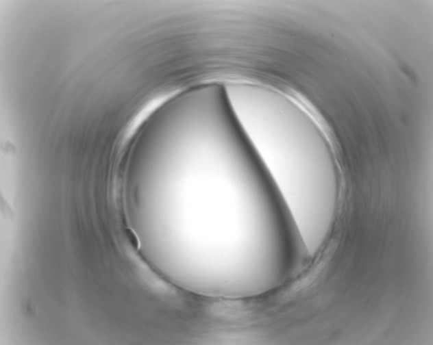 X0000091240909200708091129