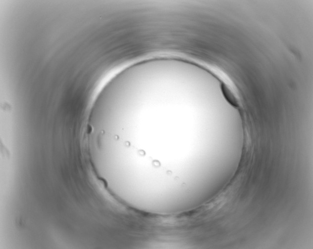 X0000091240911200708091129