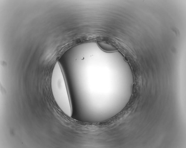 X0000091240914200708091128