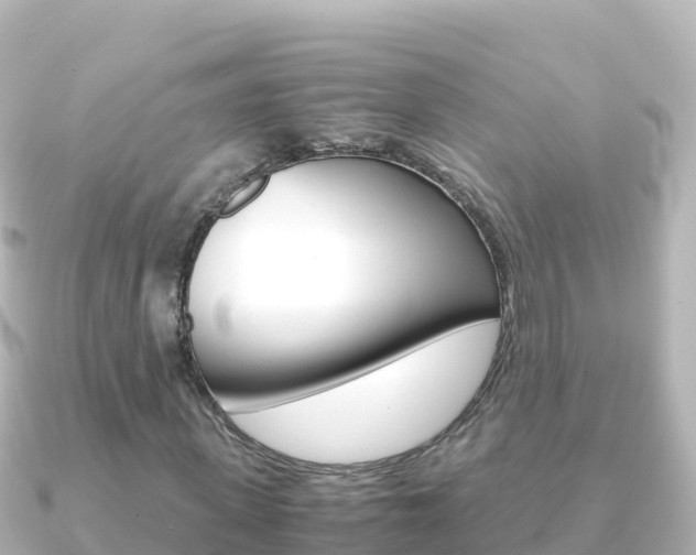 X0000091240915200708091128