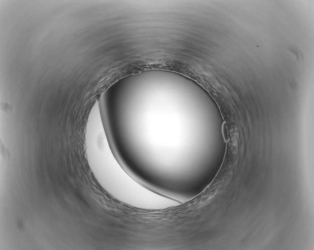 X0000091240916200708091128