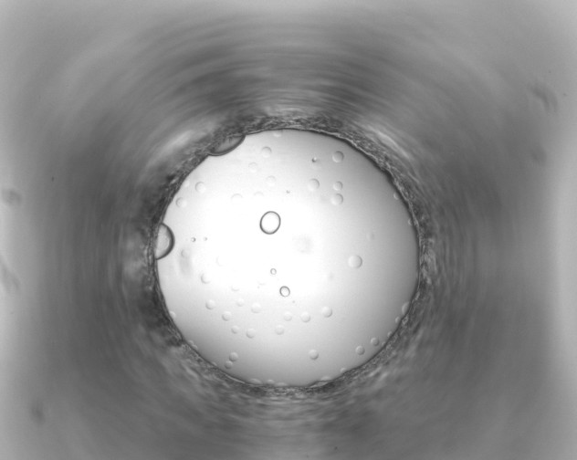 X0000091240917200708091128