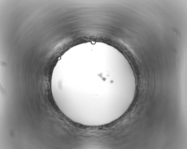 X0000091240918200708091128
