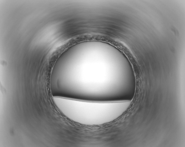 X0000091240919200708091128