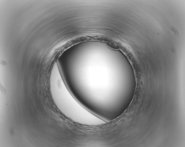 X0000091240920200708091128