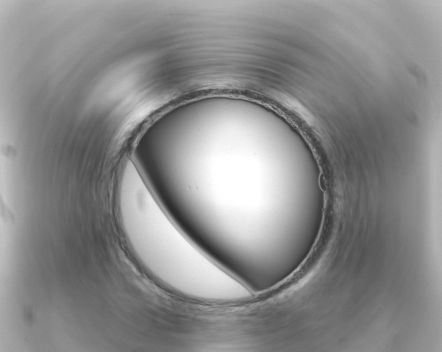 X0000091240922200708091128