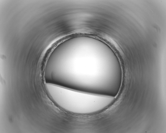 X0000091240923200708091128