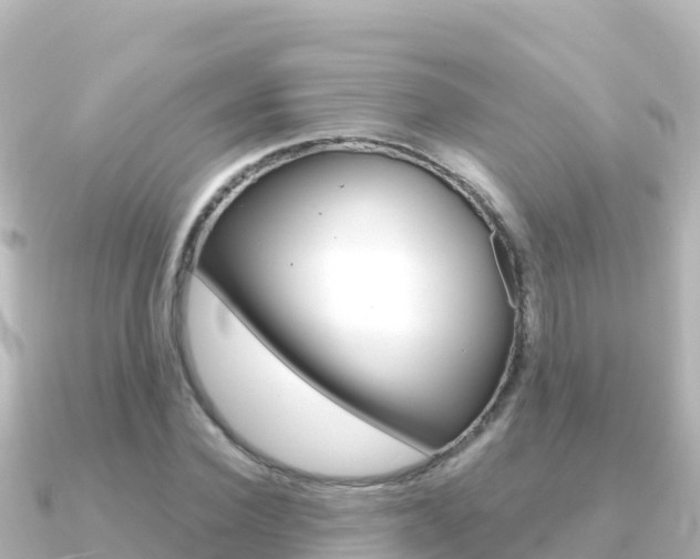 X0000091240924200708091128