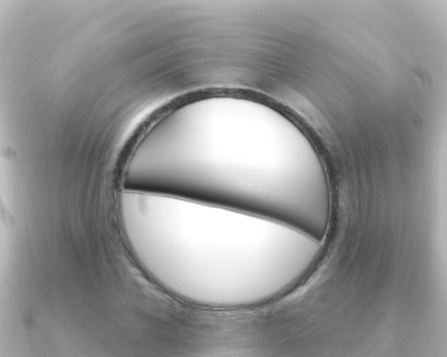 X0000091240926200708091128