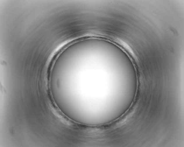 X0000091240931200708091128