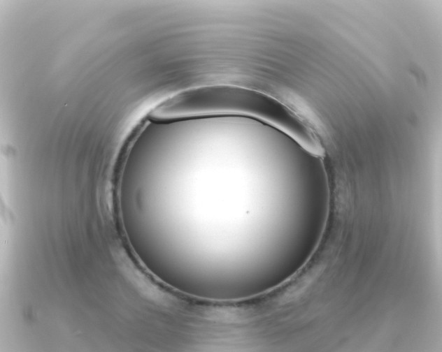 X0000091240932200708091128