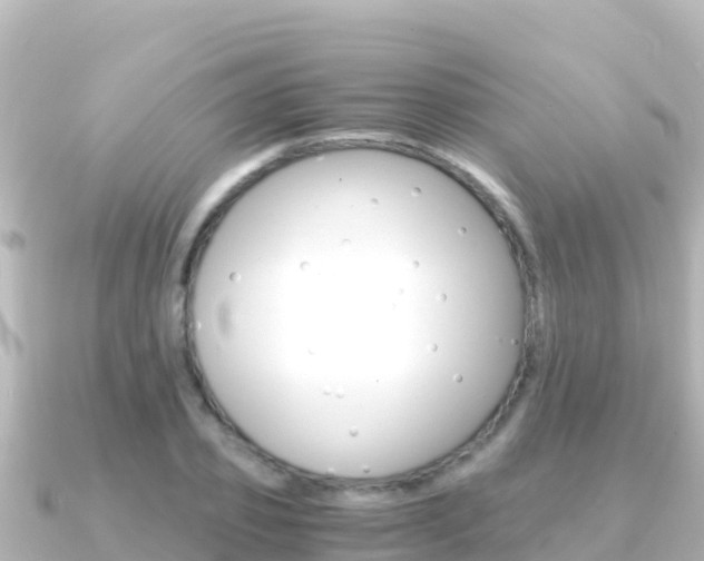 X0000091240933200708091128