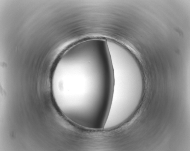 X0000091240934200708091128