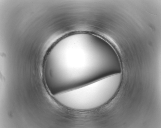 X0000091240935200708091128