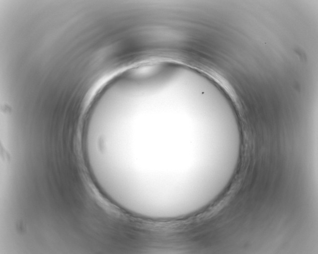 X0000091240936200708091128
