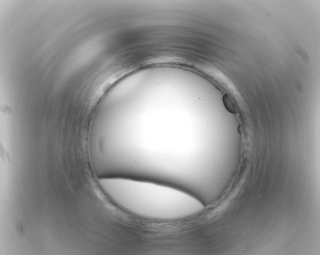 X0000091240937200708091128