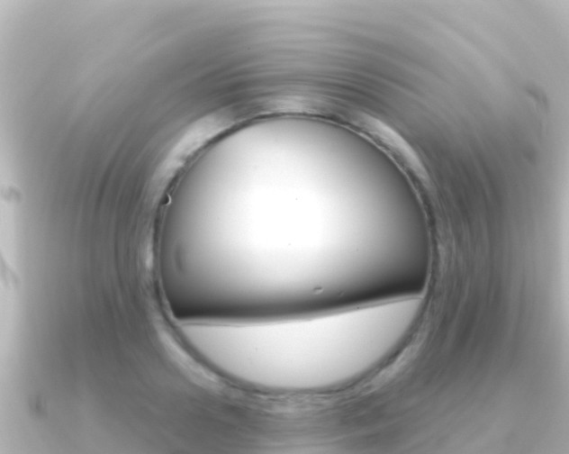 X0000091240938200708091128