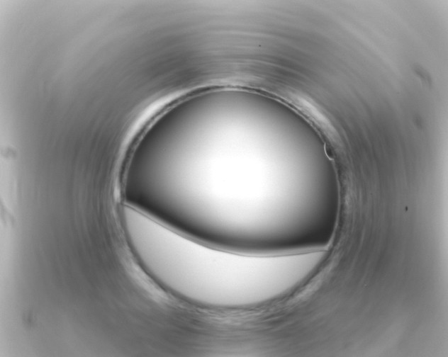X0000091240940200708091128