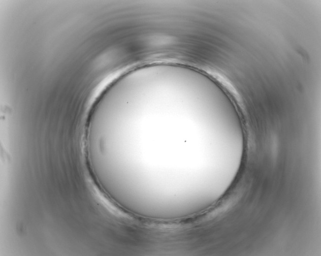 X0000091240941200708091128