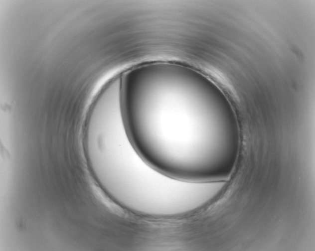 X0000091240942200708091128