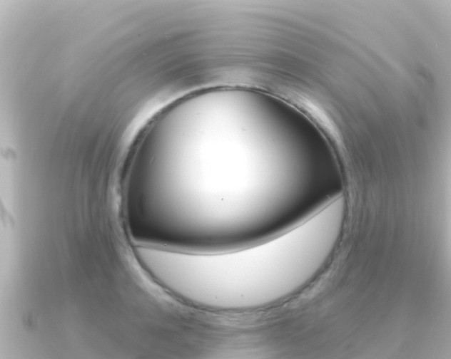 X0000091240944200708091128