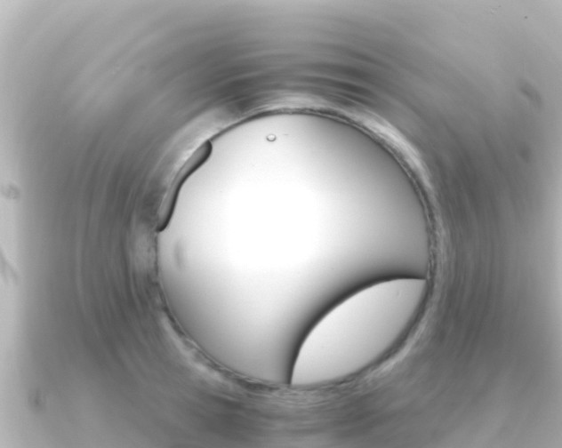 X0000091240945200708091128