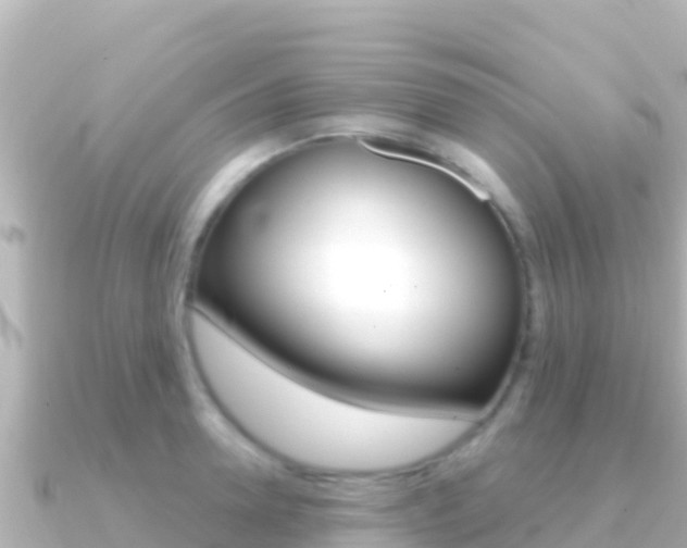 X0000091240946200708091128