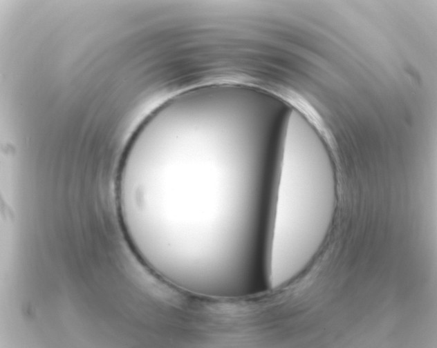 X0000091240947200708091128