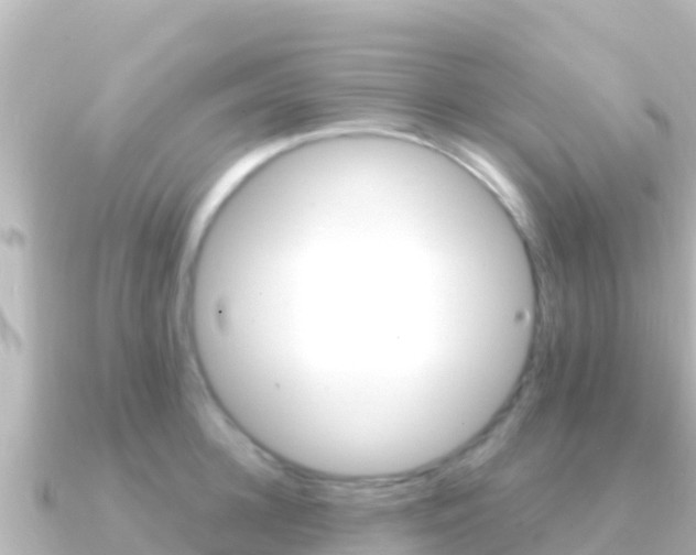 X0000091240948200708091128