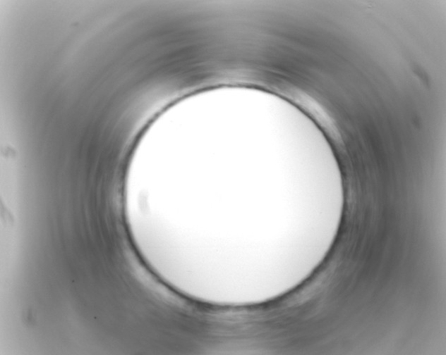 X0000091240950200708091129
