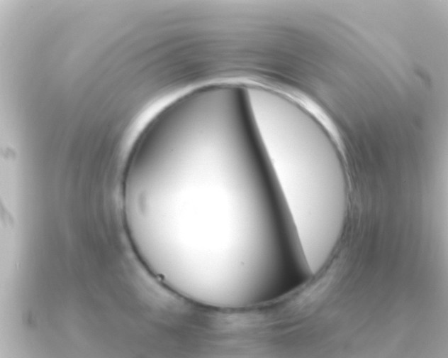 X0000091240951200708091129