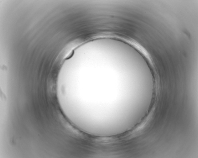 X0000091240953200708091129
