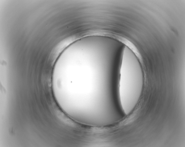 X0000091240954200708091129