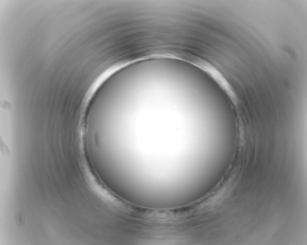 X0000091240955200708091129