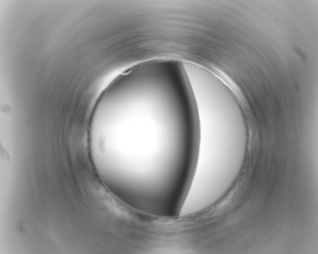 X0000091240956200708091129